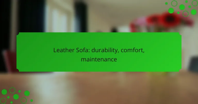 Leather Sofa: durability, comfort, maintenance