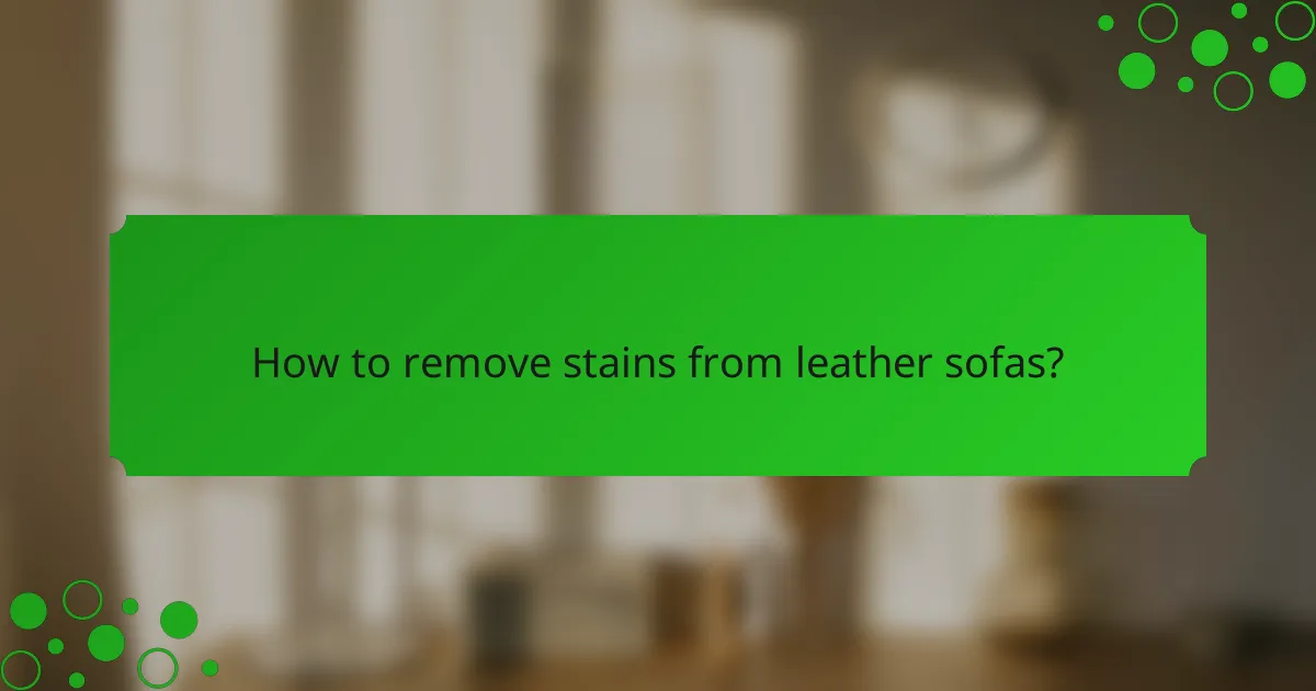 How to remove stains from leather sofas?
