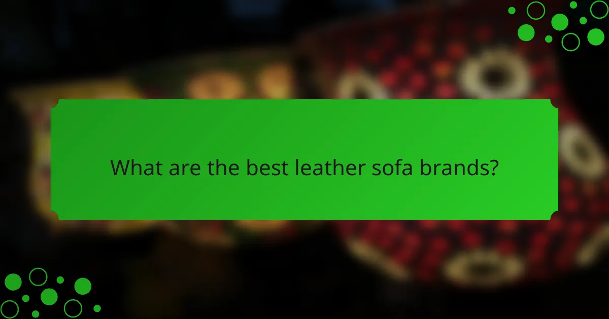 What are the best leather sofa brands?
