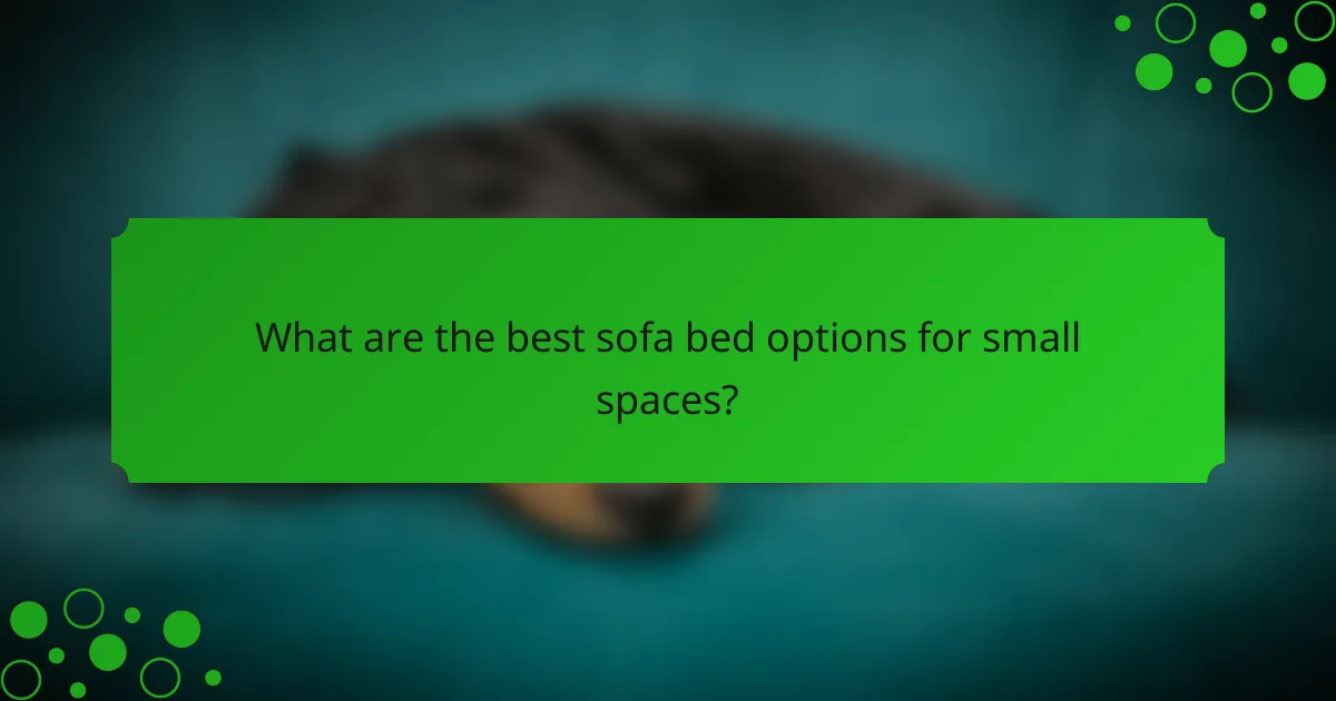 What are the best sofa bed options for small spaces?